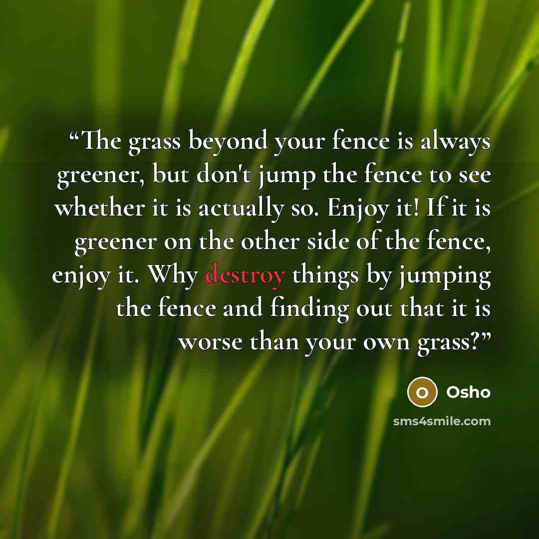 “The grass beyond your fence is always greener, but don't jump the fence to see whether it is actually so. Enjoy it! If it is greener on the other side of the fence, enjoy it. Why destroy things by jumping the fence and finding out that it is worse than your own grass?” quote by Osho