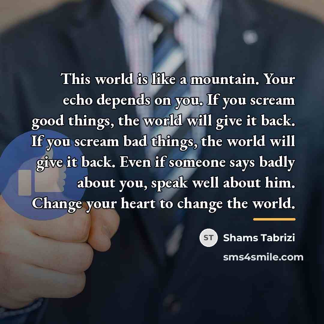 “This world is like a mountain. Your echo depends on…” quote by Shams Tabrizi