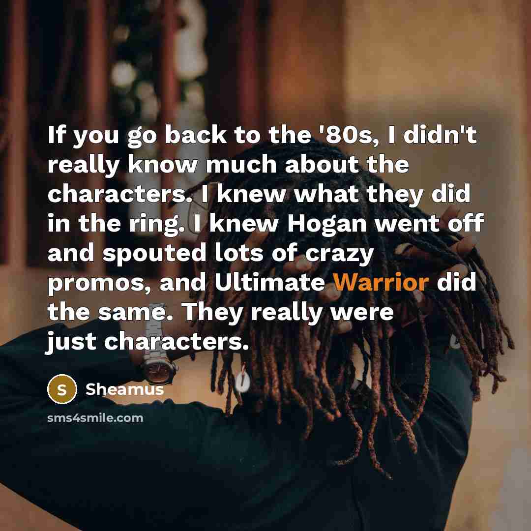 “If you go back to the '80s, I didn't really…” quote by Sheamus