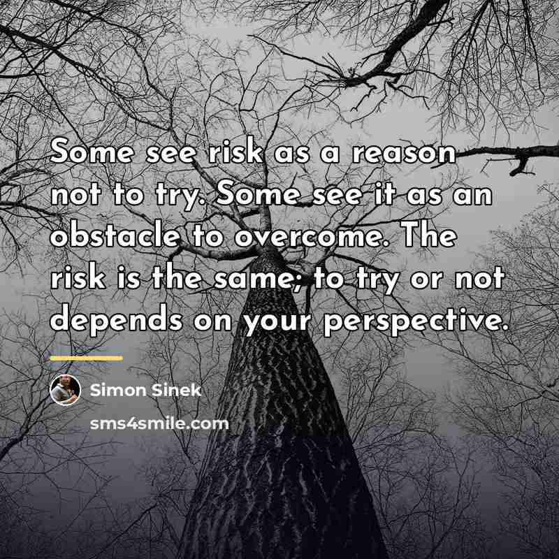 “Some see risk as a reason not to try. Some…” quote by Simon Sinek