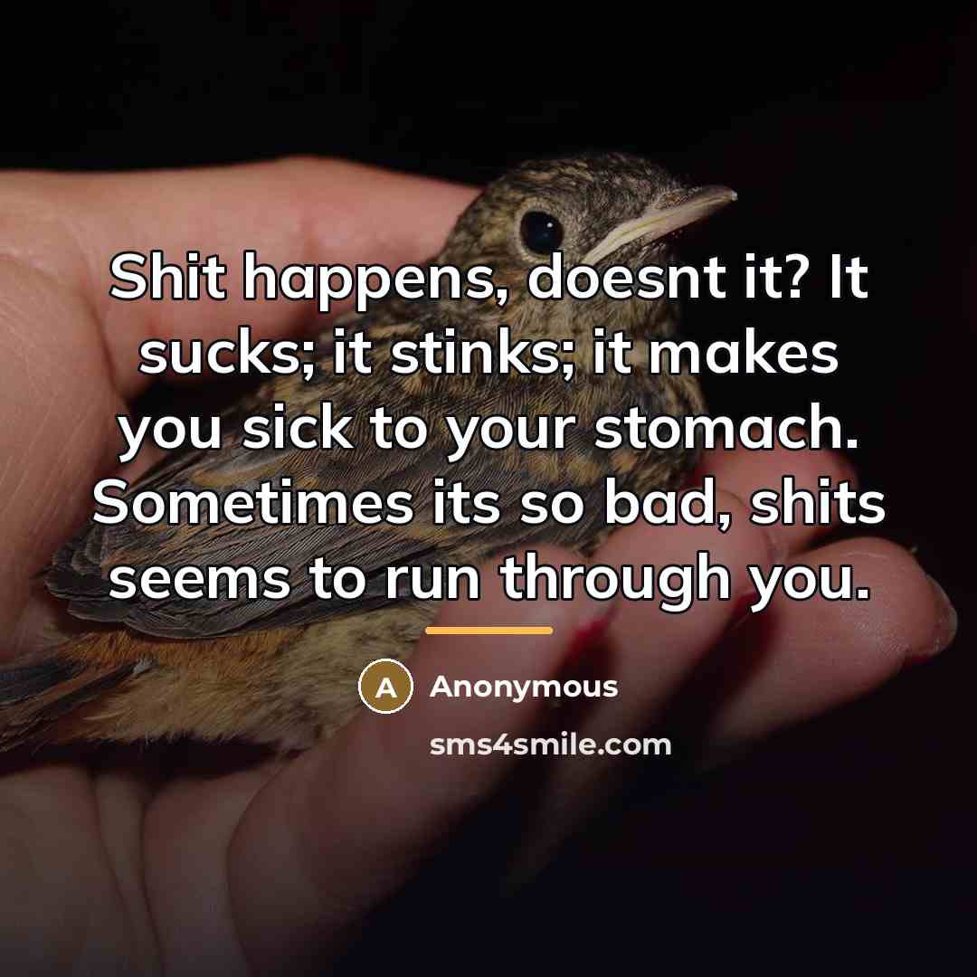 “Shit happens, doesnt it? It sucks; it stinks; it makes…” quote by Anonymous