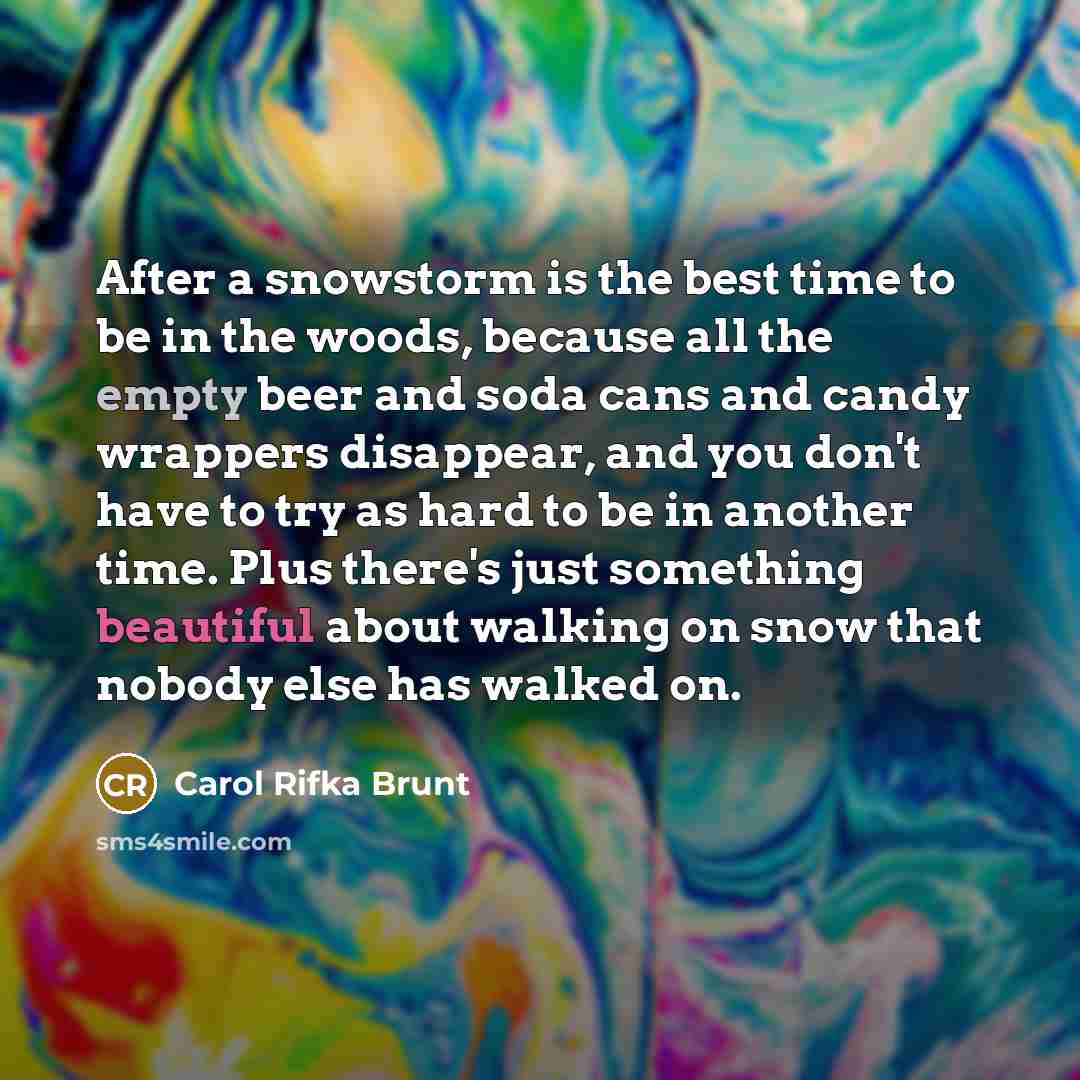 “After a snowstorm is the best time to be in…” quote by Carol Rifka Brunt