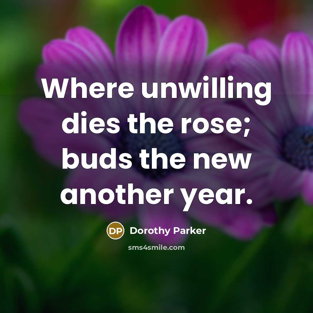 “Where unwilling dies the rose; buds the new another year.…” quote by Dorothy Parker