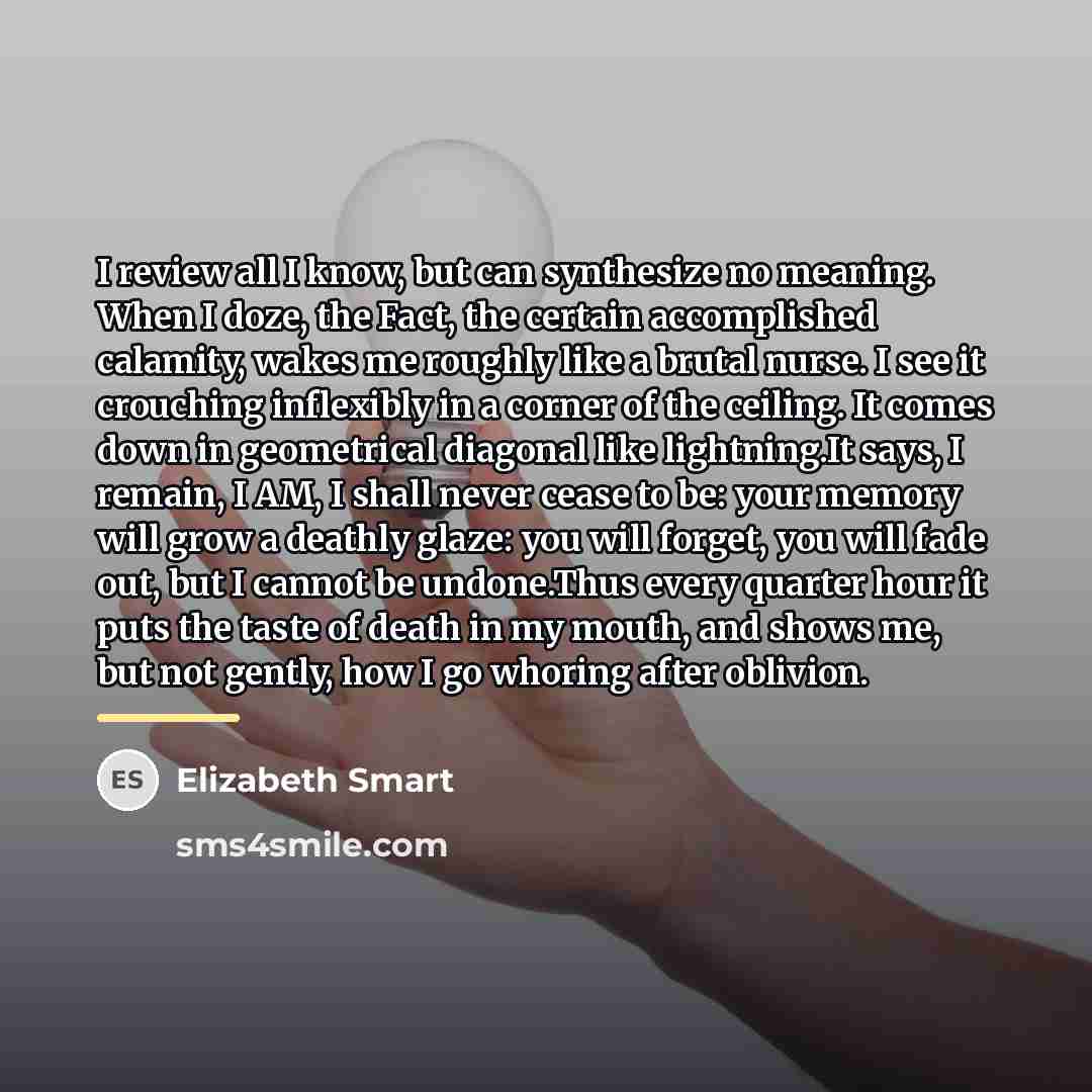 “I review all I know, but can synthesize no meaning.…” quote by Elizabeth Smart