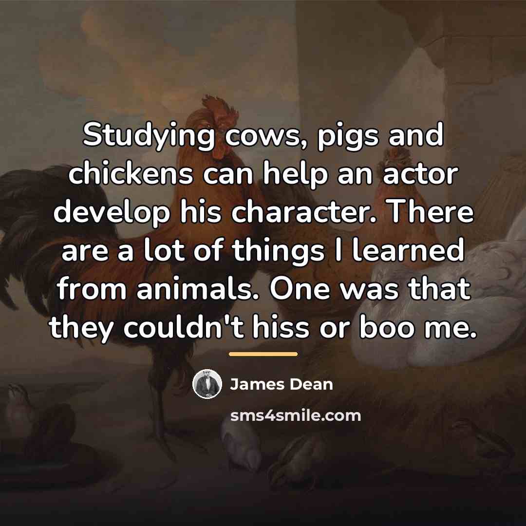 “Studying cows, pigs and chickens can help an actor develop…” quote by James Dean