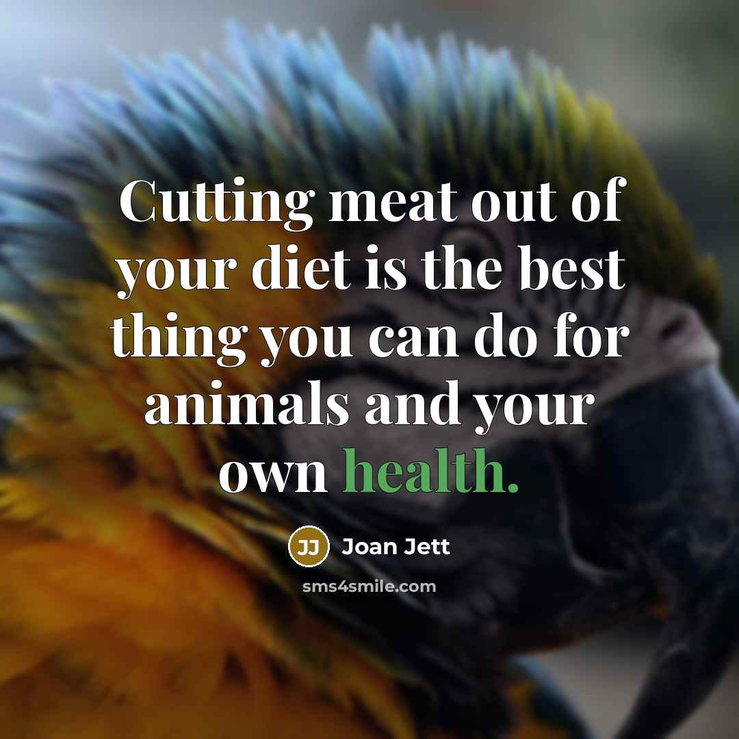 “Cutting meat out of your diet is the best thing…” quote by Joan Jett