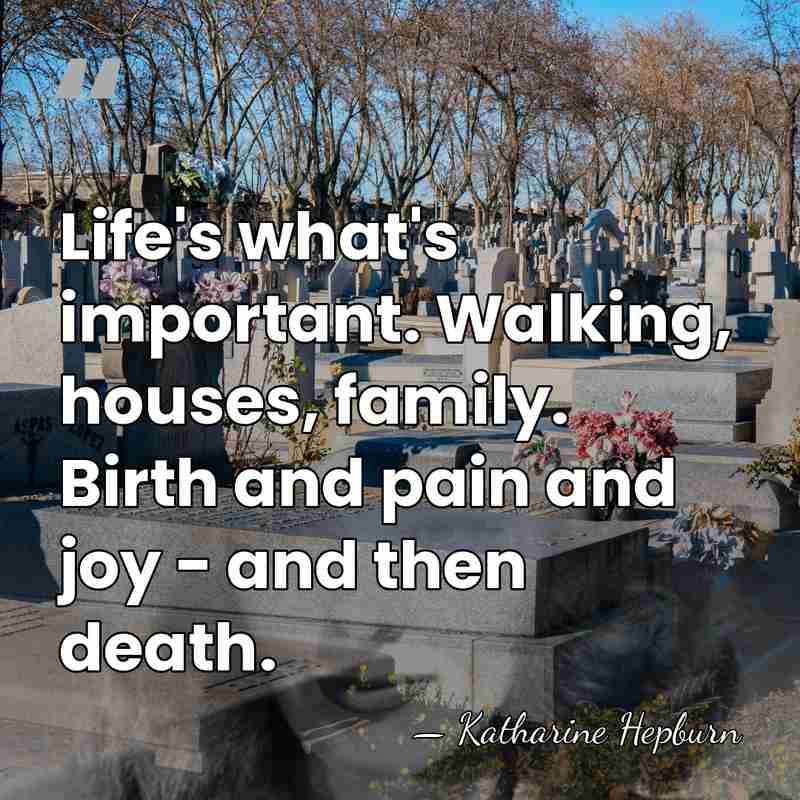 Life's what's important. Walking, houses, family. Birth and pain and joy -&hellip; - Katharine Hepburn