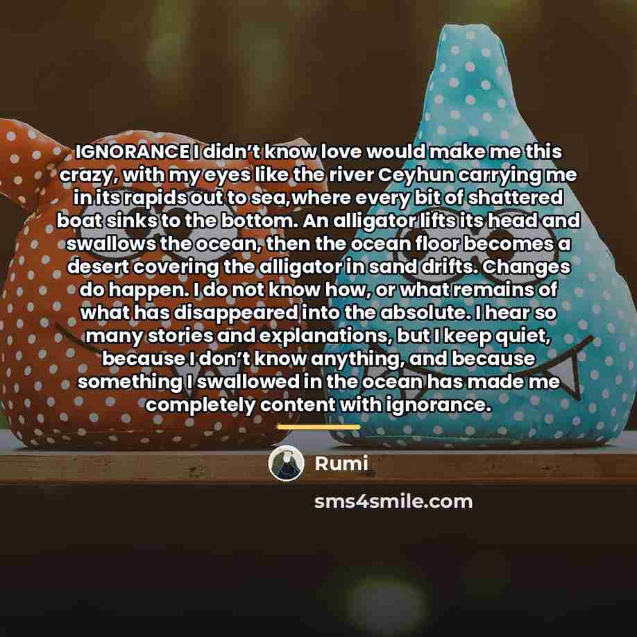 “IGNORANCE I didn’t know love would make me this crazy,…” quote by Rumi