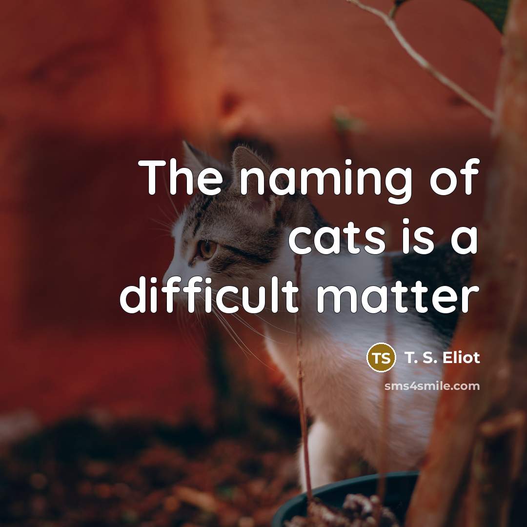 “The naming of cats is a difficult matter…” quote by T. S. Eliot