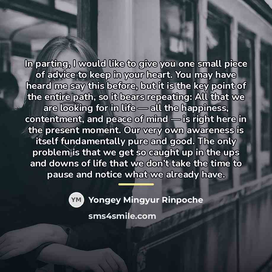 “In parting, I would like to give you one small…” quote by Yongey Mingyur Rinpoche