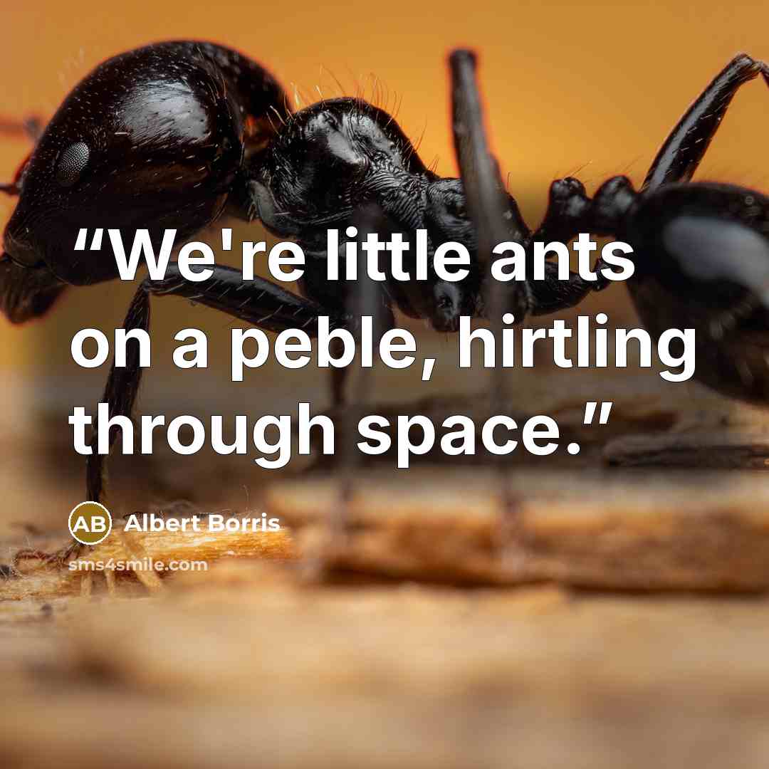“We're little ants on a peble, hirtling through space.” quote by Albert Borris