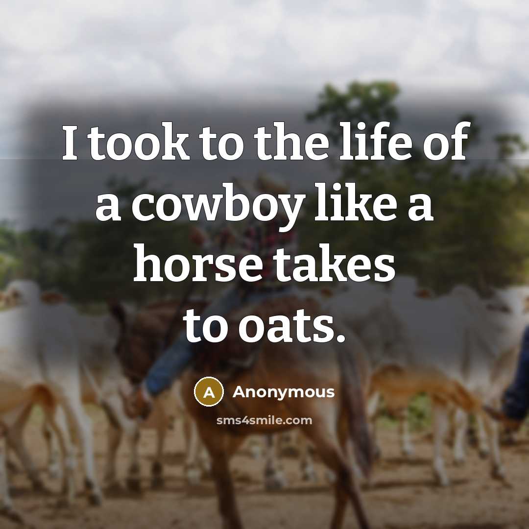“I took to the life of a cowboy like a…” quote by Anonymous