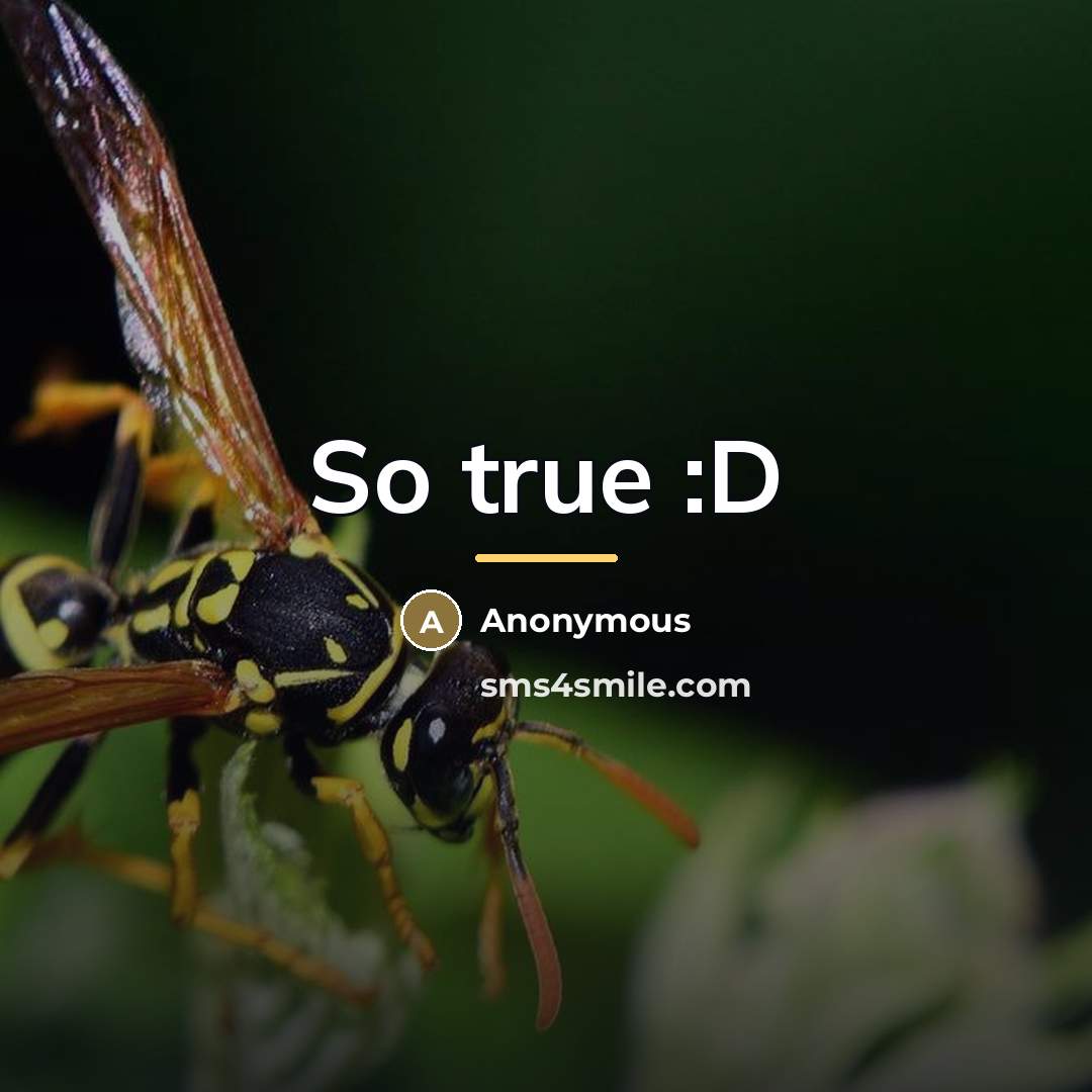 “So true :D” quote by Anonymous