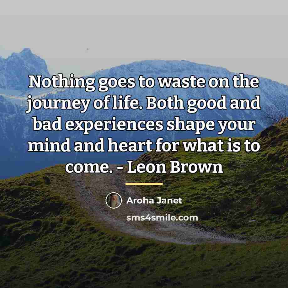 “Nothing goes to waste on the journey of life. Both…” quote by Aroha Janet