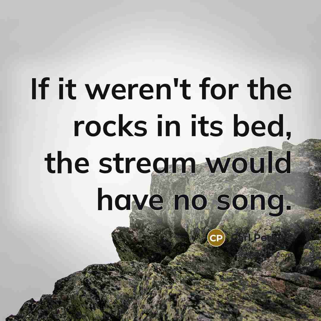 “If it weren't for the rocks in its bed, the…” quote by Carl Perkins
