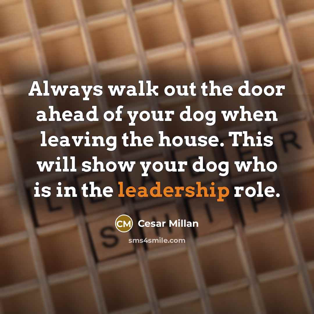 “Always walk out the door ahead of your dog when…” quote by Cesar Millan