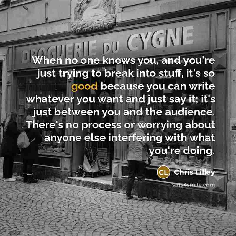 “When no one knows you, and you're just trying to…” quote by Chris Lilley