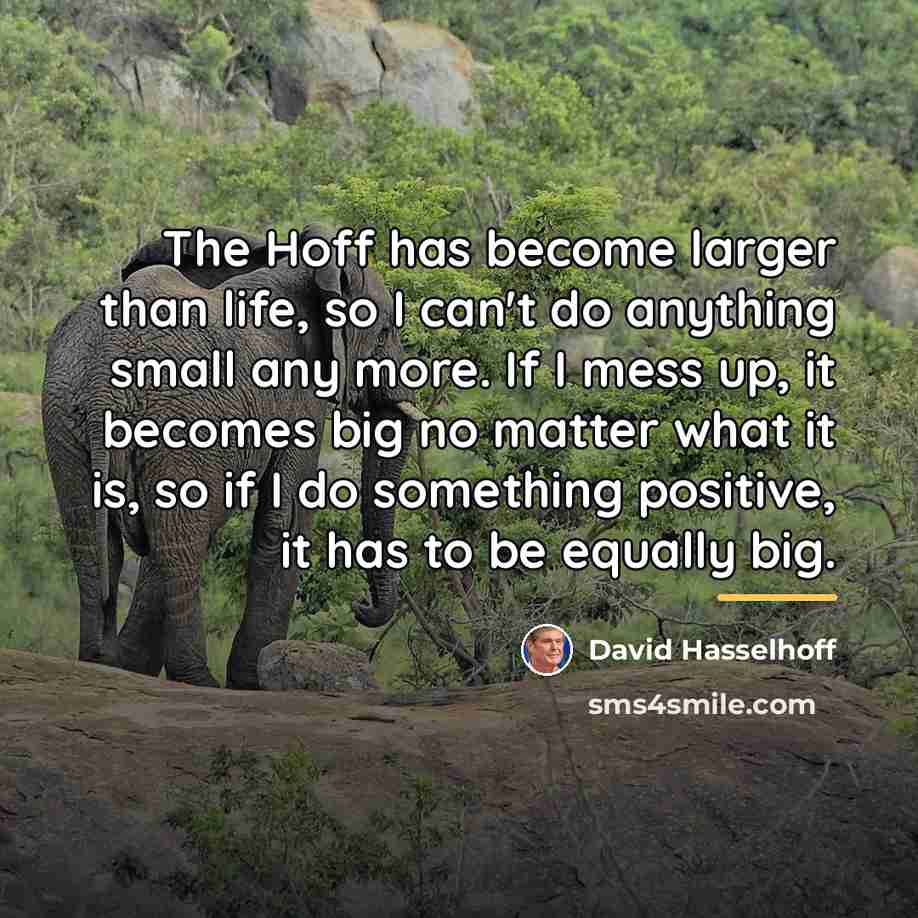“The Hoff has become larger than life, so I can't…” quote by David Hasselhoff