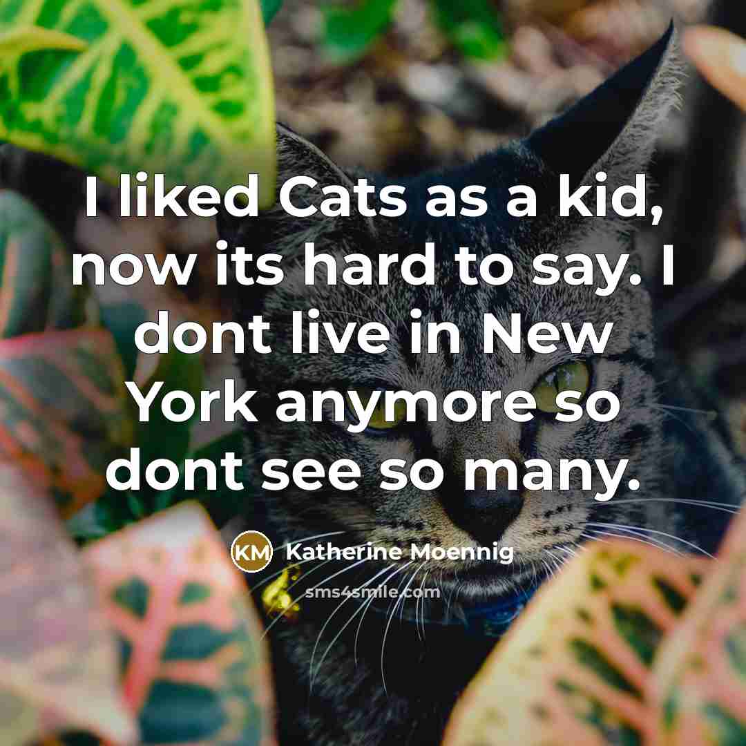 “I liked Cats as a kid, now its hard to…” quote by Katherine Moennig