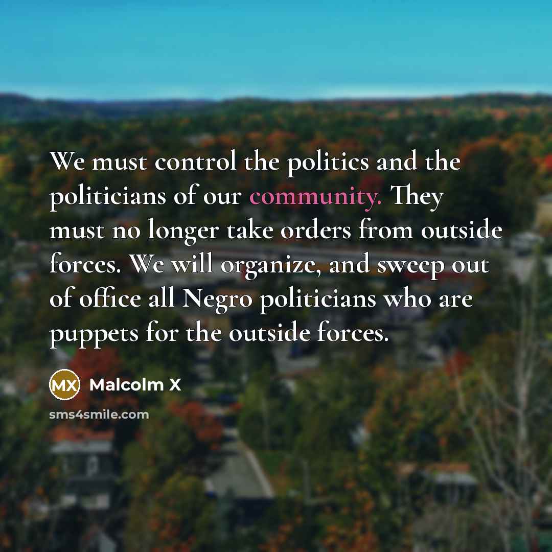 “We must control the politics and the politicians of our…” quote by Malcolm X