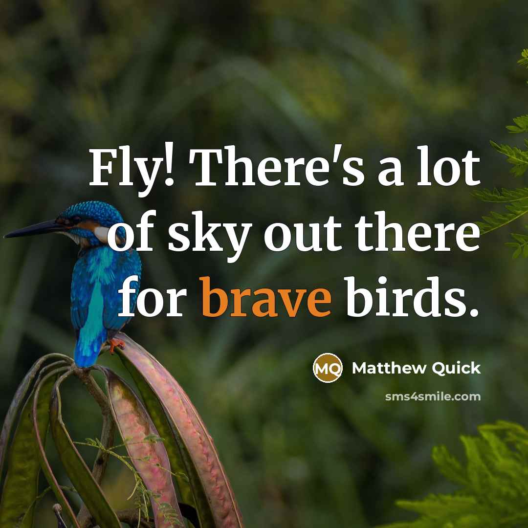 “Fly! There's a lot of sky out there for brave…” quote by Matthew Quick