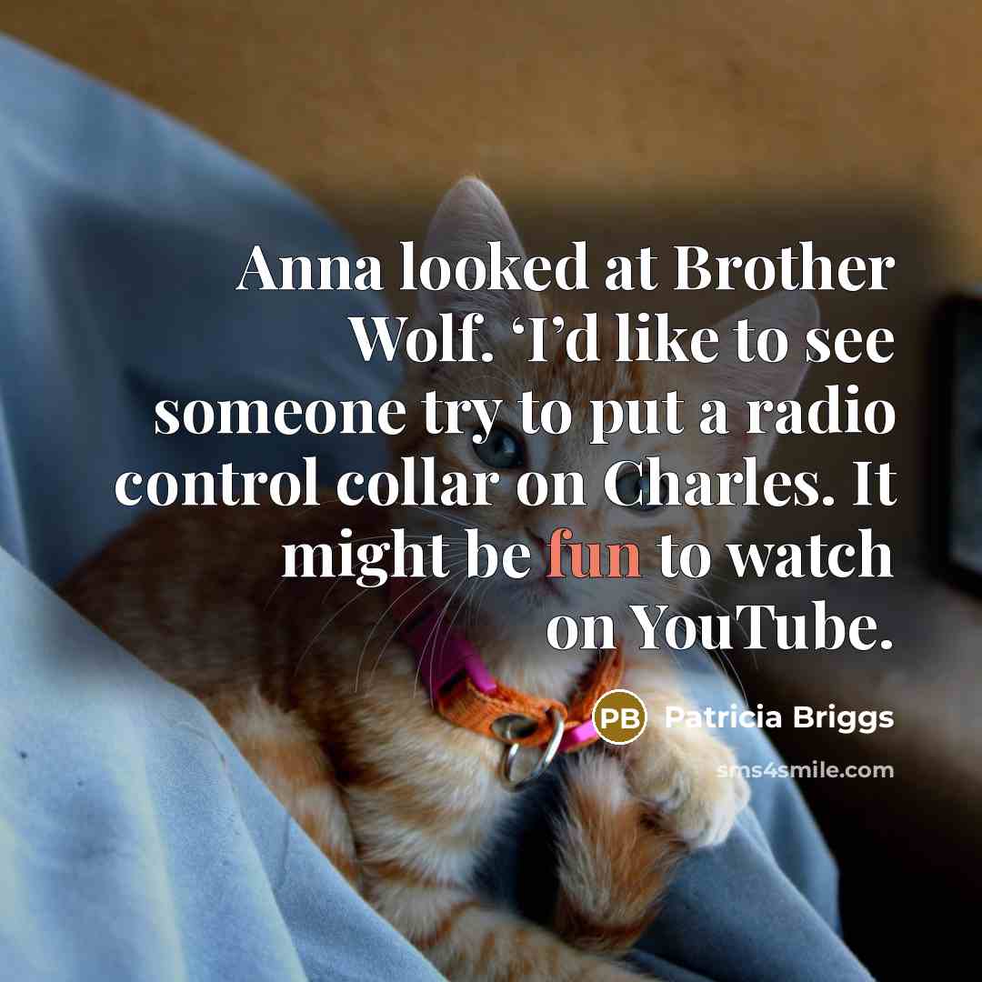 “Anna looked at Brother Wolf. ‘I’d like to see someone…” quote by Patricia Briggs