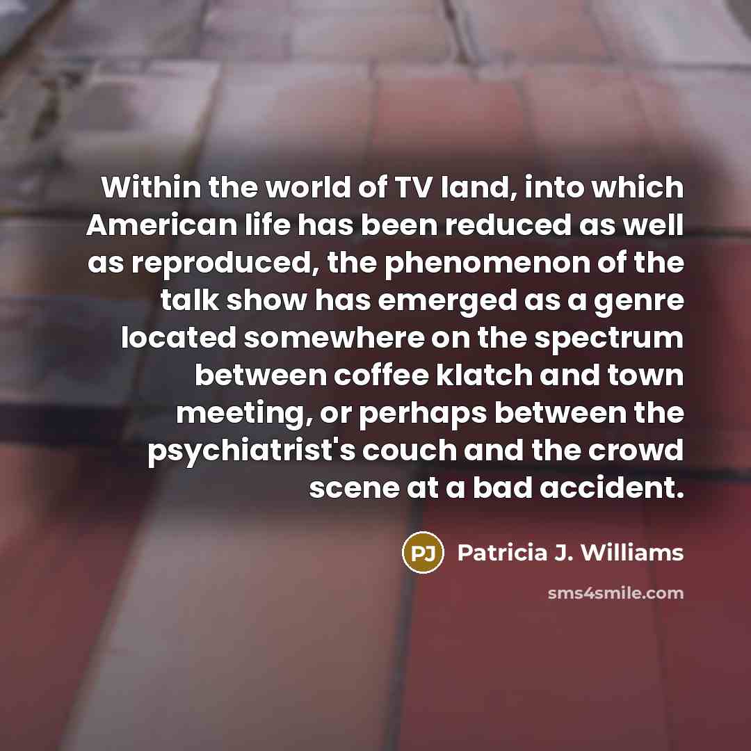 “Within the world of TV land, into which American life…” quote by Patricia J. Williams