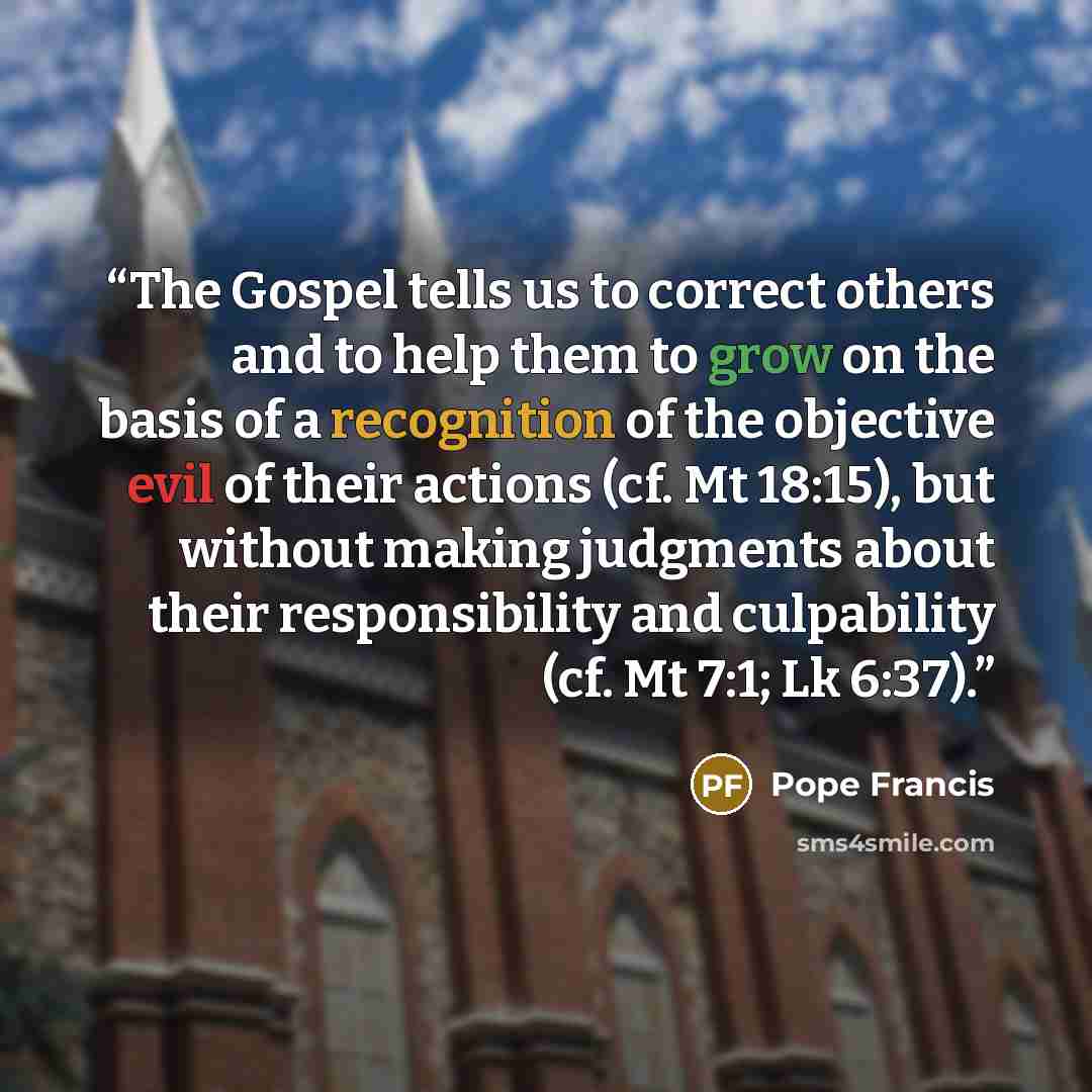 “The Gospel tells us to correct others and to help them to grow on the basis of a recognition of the objective evil of their actions (cf. Mt 18:15), but without making judgments about their responsibility and culpability (cf. Mt 7:1; Lk 6:37).” quote by Pope Francis