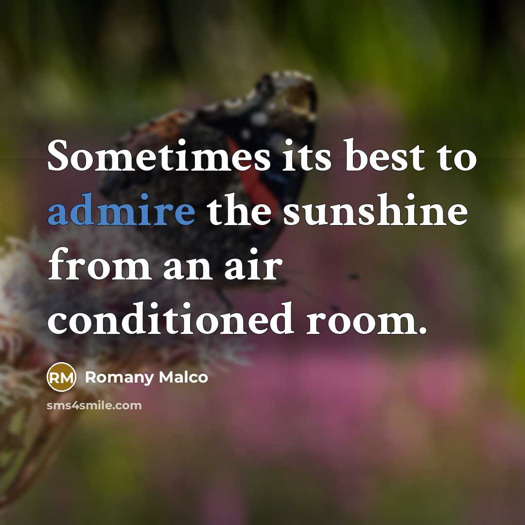 “Sometimes its best to admire the sunshine from an air…” quote by Romany Malco