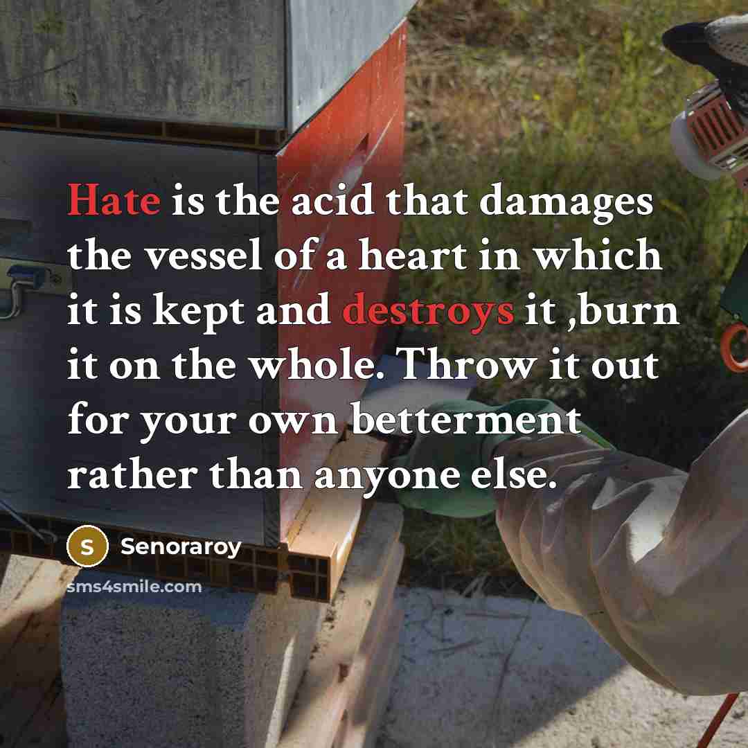 “Hate is the acid that damages the vessel of a heart in which it is kept and destroys it ,burn it on the whole. Throw it out for your own betterment rather than anyone else.” quote by Senoraroy