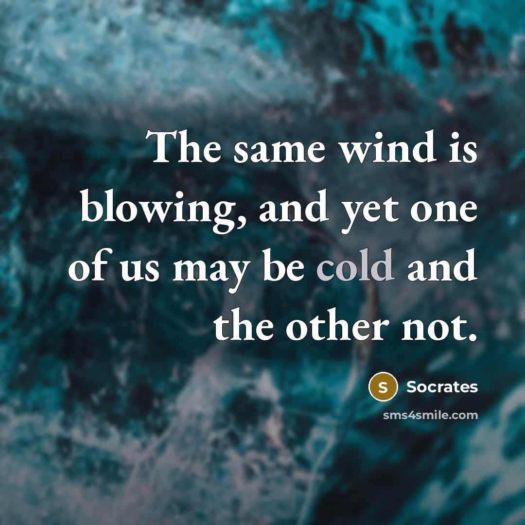 “The same wind is blowing, and yet one of us…” quote by Socrates