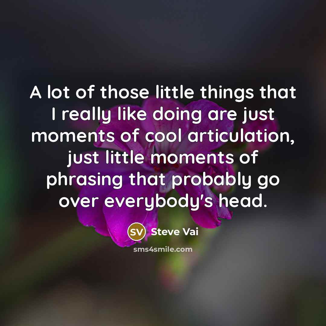 “A lot of those little things that I really like…” quote by Steve Vai