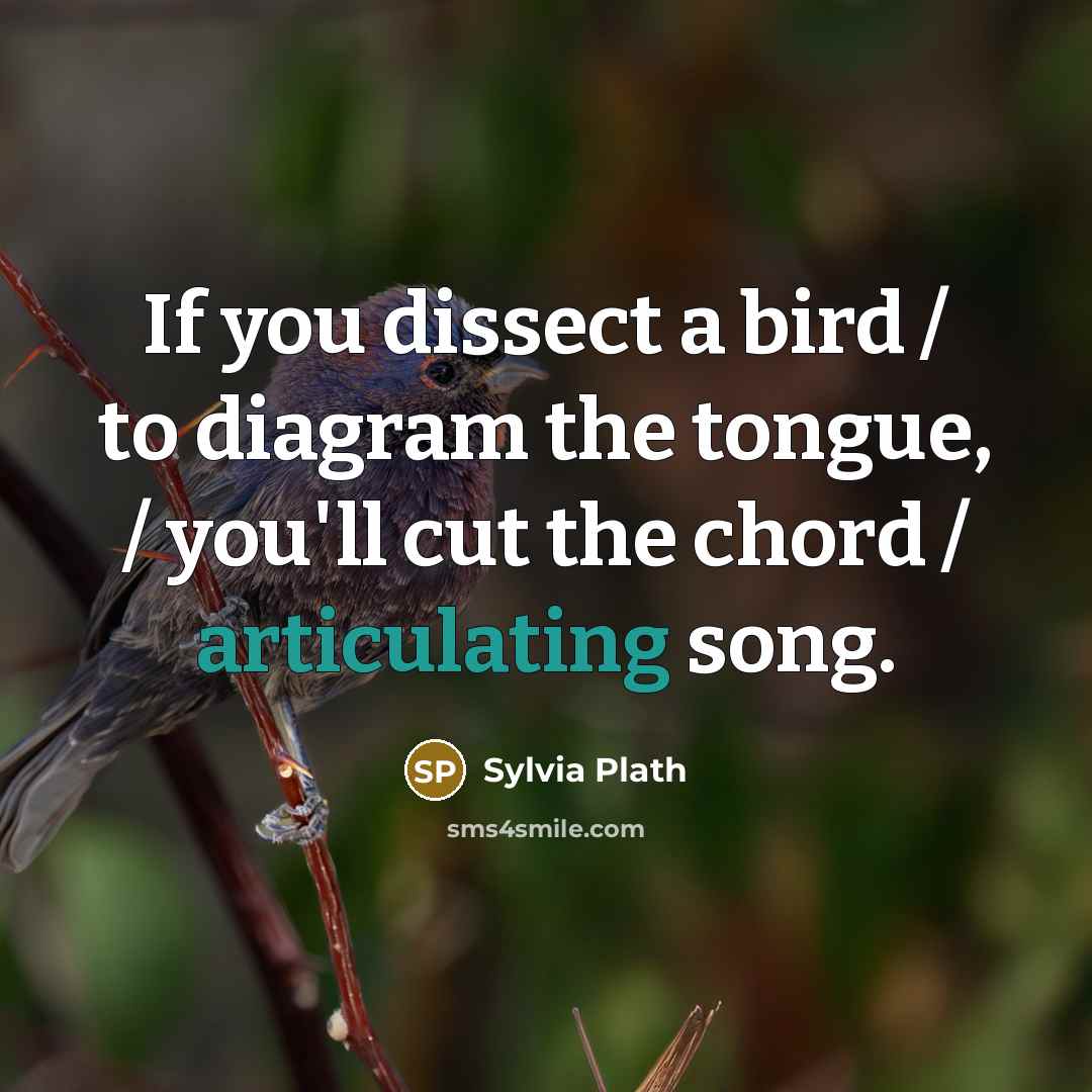 “If you dissect a bird / to diagram the tongue,…” quote by Sylvia Plath