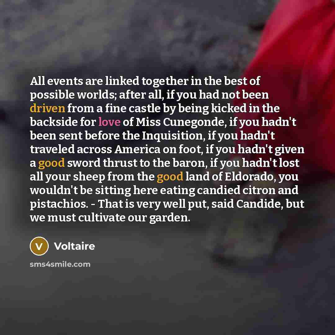“All events are linked together in the best of possible…” quote by Voltaire