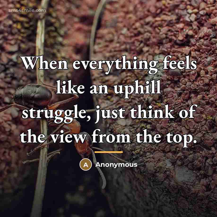 “When everything feels like an uphill struggle, just think of…” quote by Anonymous