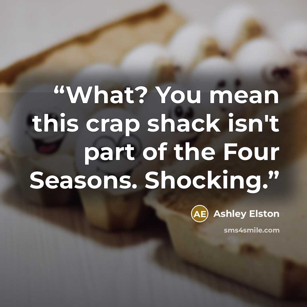 “What? You mean this crap shack isn't part of the Four Seasons. Shocking.” quote by Ashley Elston