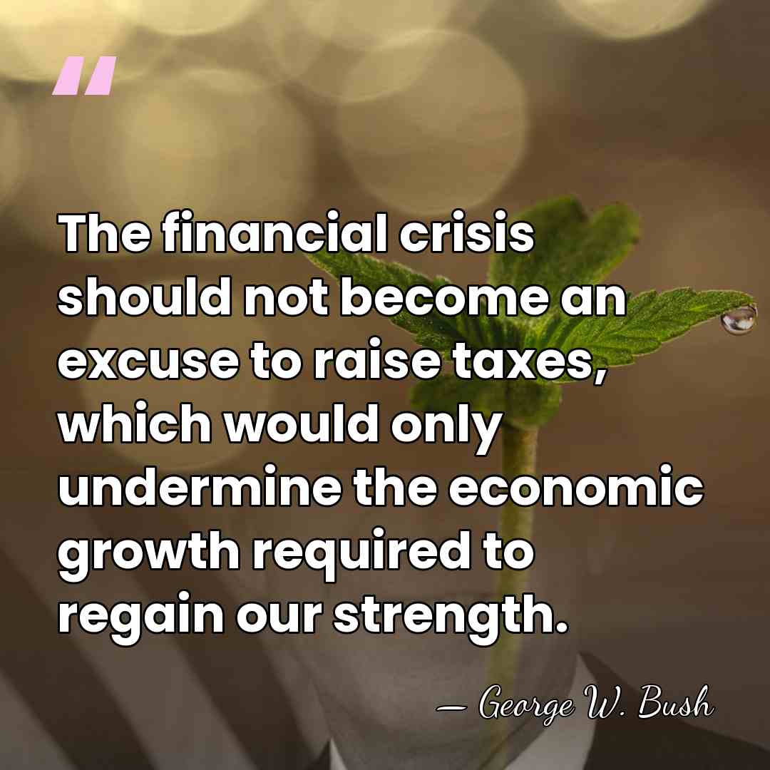 The financial crisis should not become an excuse to raise taxes, which&hellip; - George W. Bush