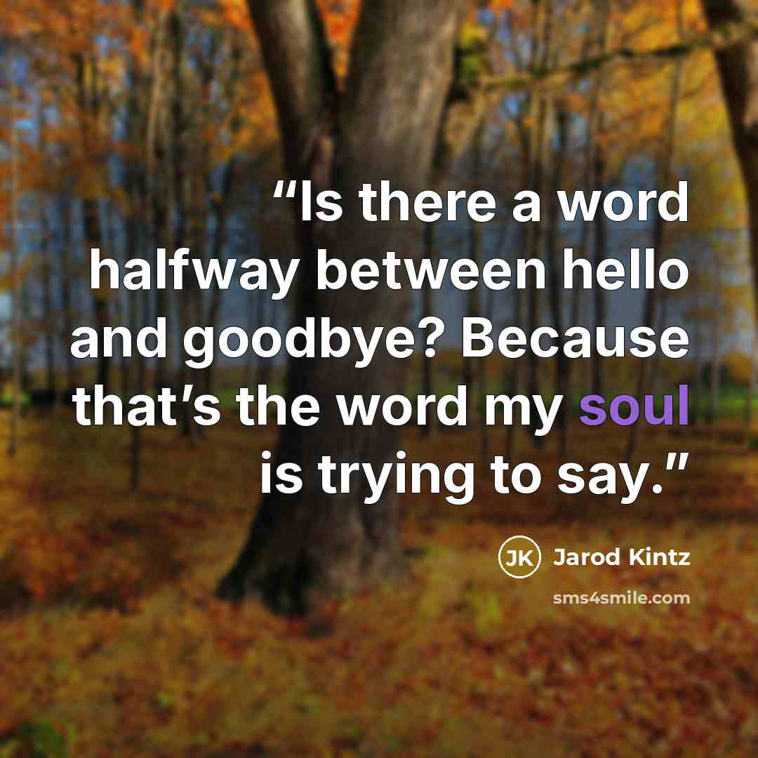 “Is there a word halfway between hello and goodbye? Because that’s the word my soul is trying to say.” quote by Jarod Kintz