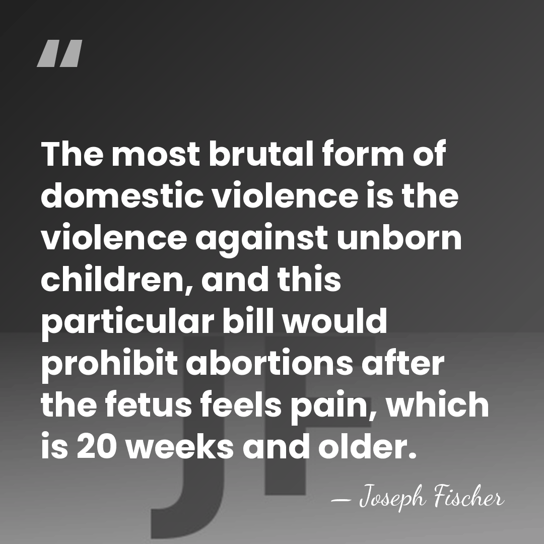 The most brutal form of domestic violence is the violence against unborn&hellip; - Joseph Fischer
