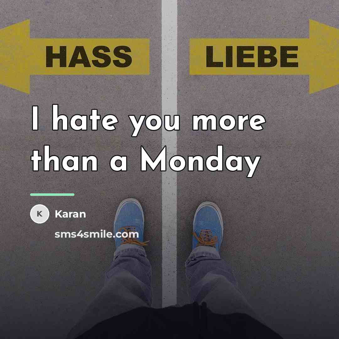 “I hate you more than a Monday…” quote by Karan
