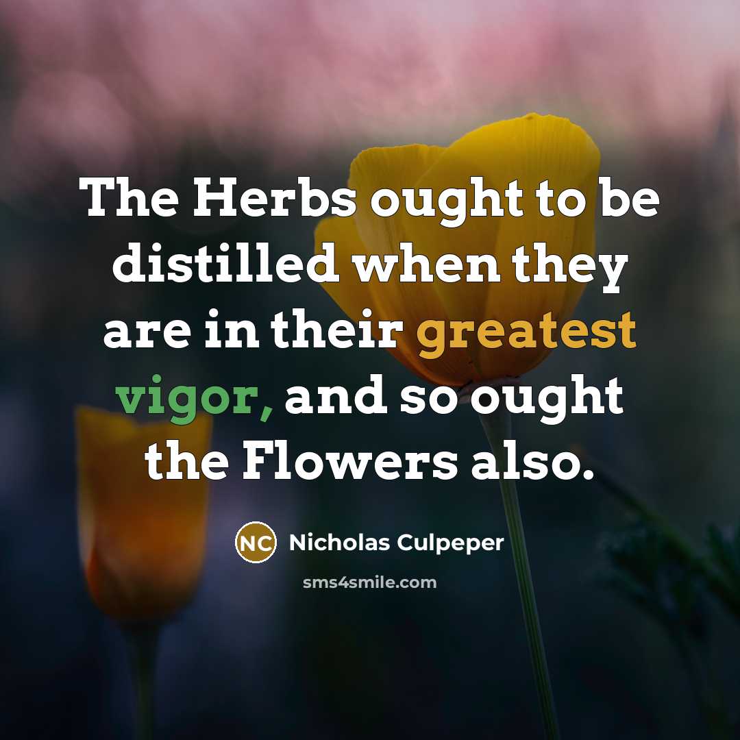 “The Herbs ought to be distilled when they are in their greatest vigor, and so ought the Flowers also.” quote by Nicholas Culpeper