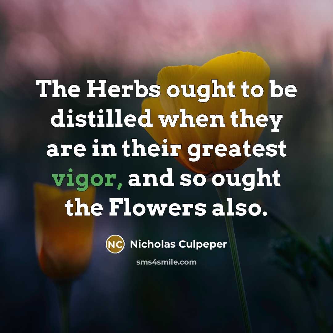 “The Herbs ought to be distilled when they are in…” quote by Nicholas Culpeper