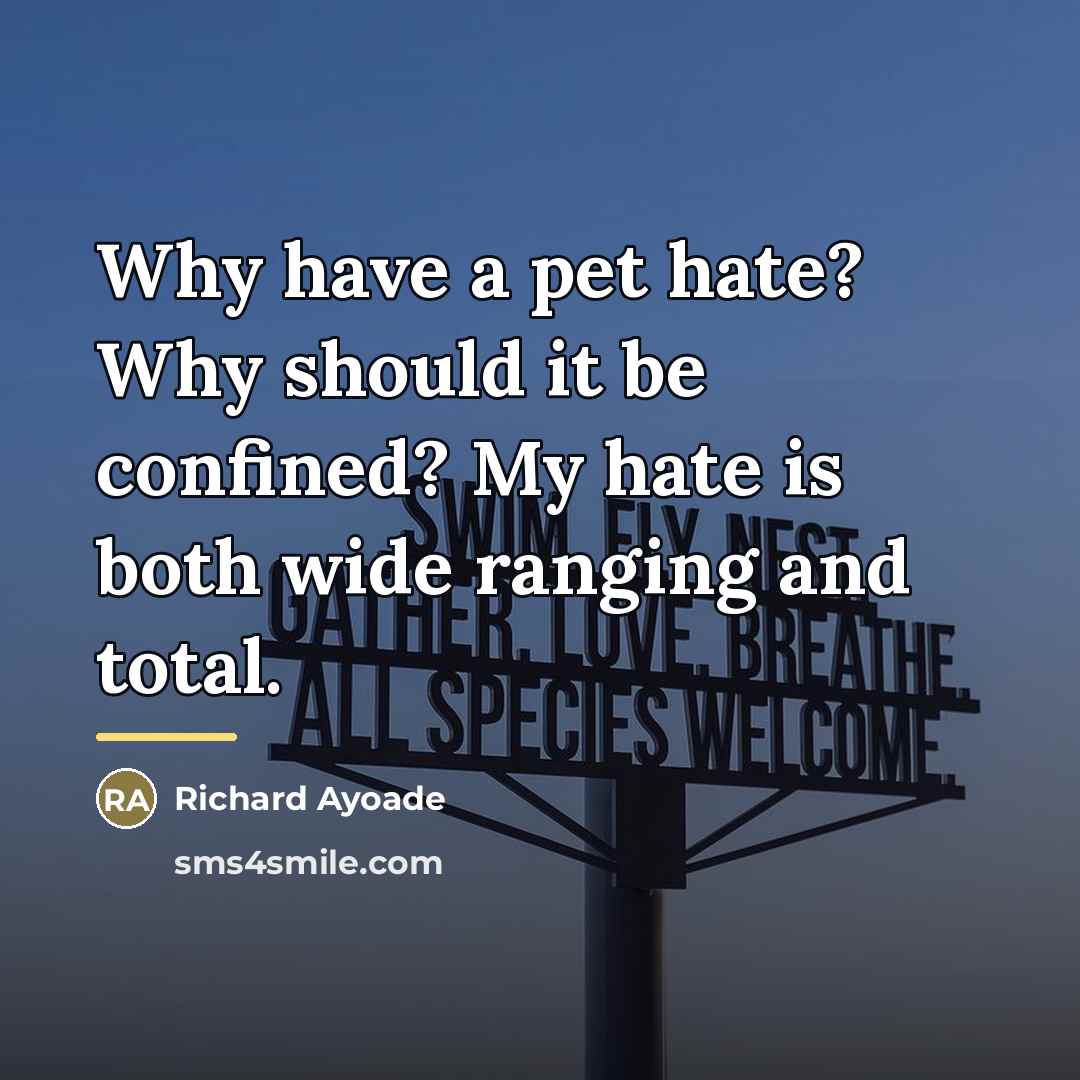 “Why have a pet hate? Why should it be confined?…” quote by Richard Ayoade
