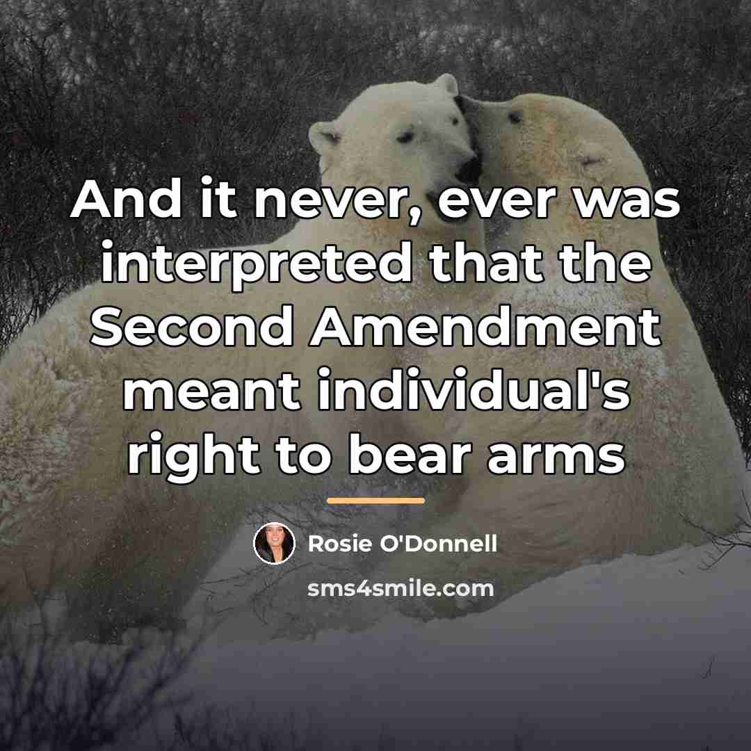 “And it never, ever was interpreted that the Second Amendment…” quote by Rosie O'Donnell