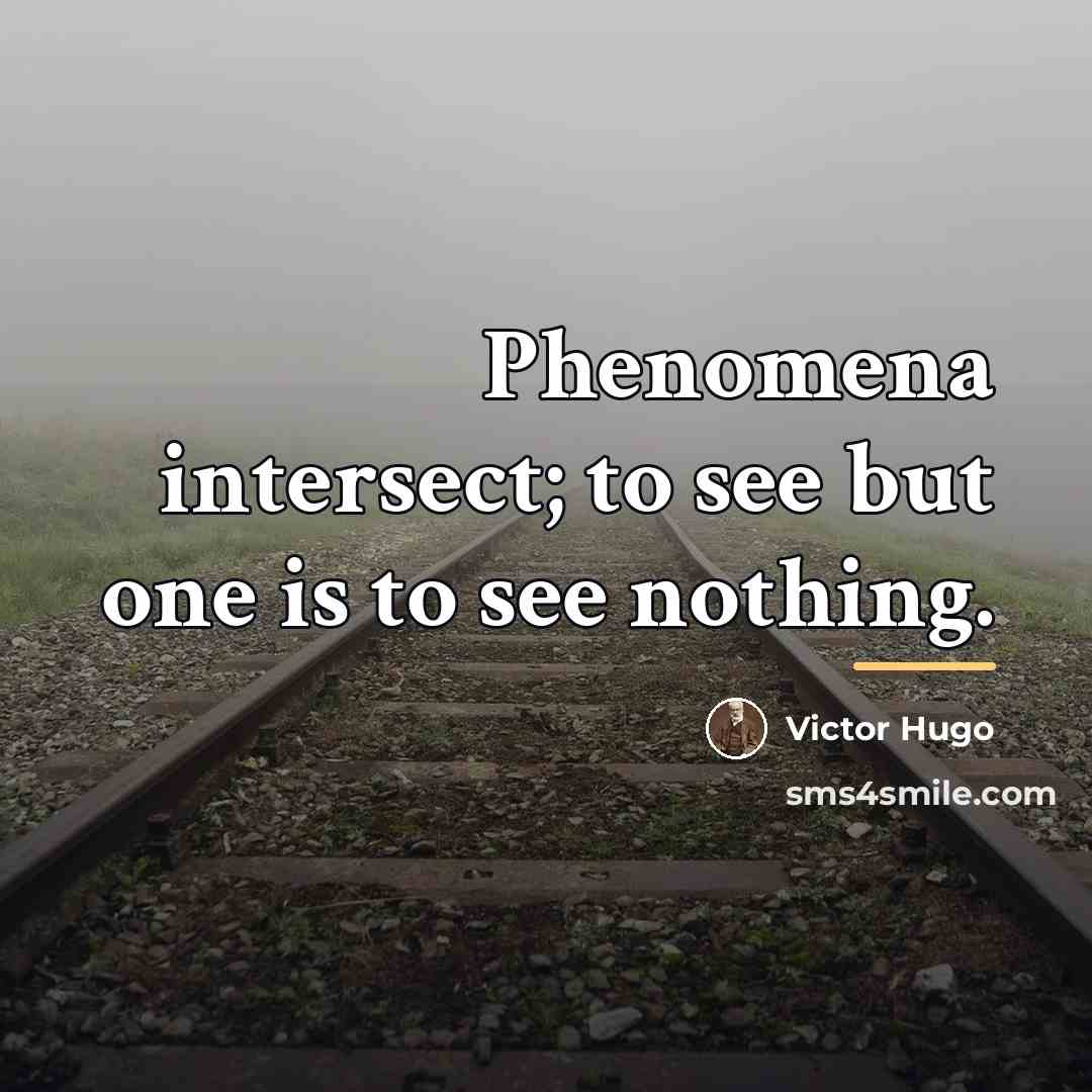 “Phenomena intersect; to see but one is to see nothing.…” quote by Victor Hugo