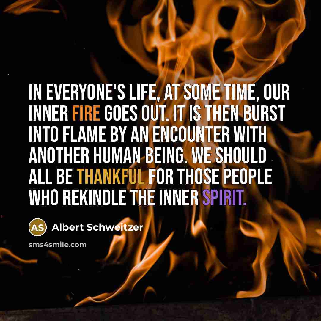 “In everyone's life, at some time, our inner fire goes…” quote by Albert Schweitzer