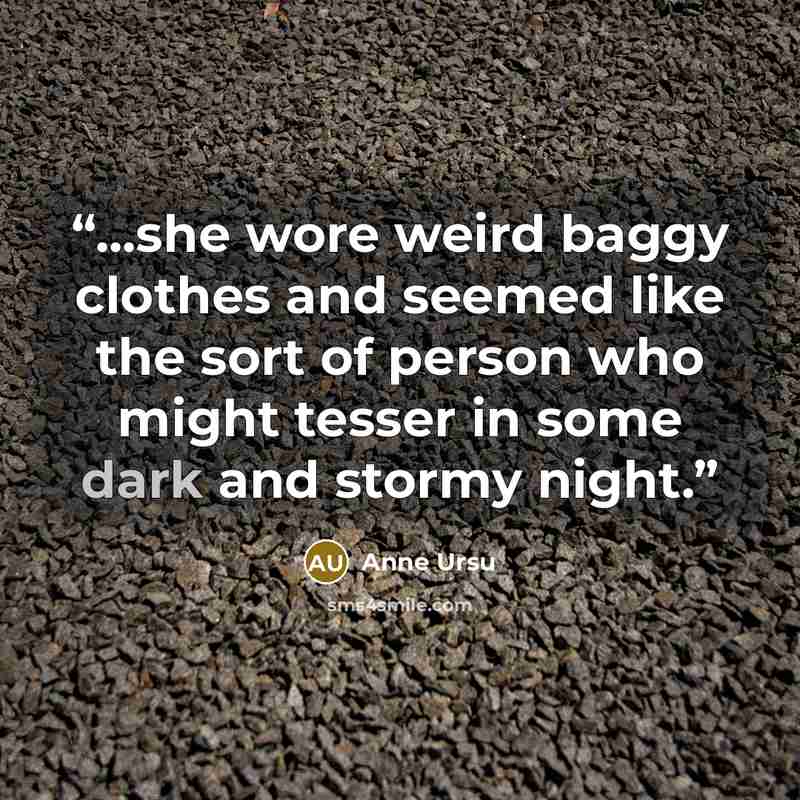 “...she wore weird baggy clothes and seemed like the sort of person who might tesser in some dark and stormy night.” quote by Anne Ursu