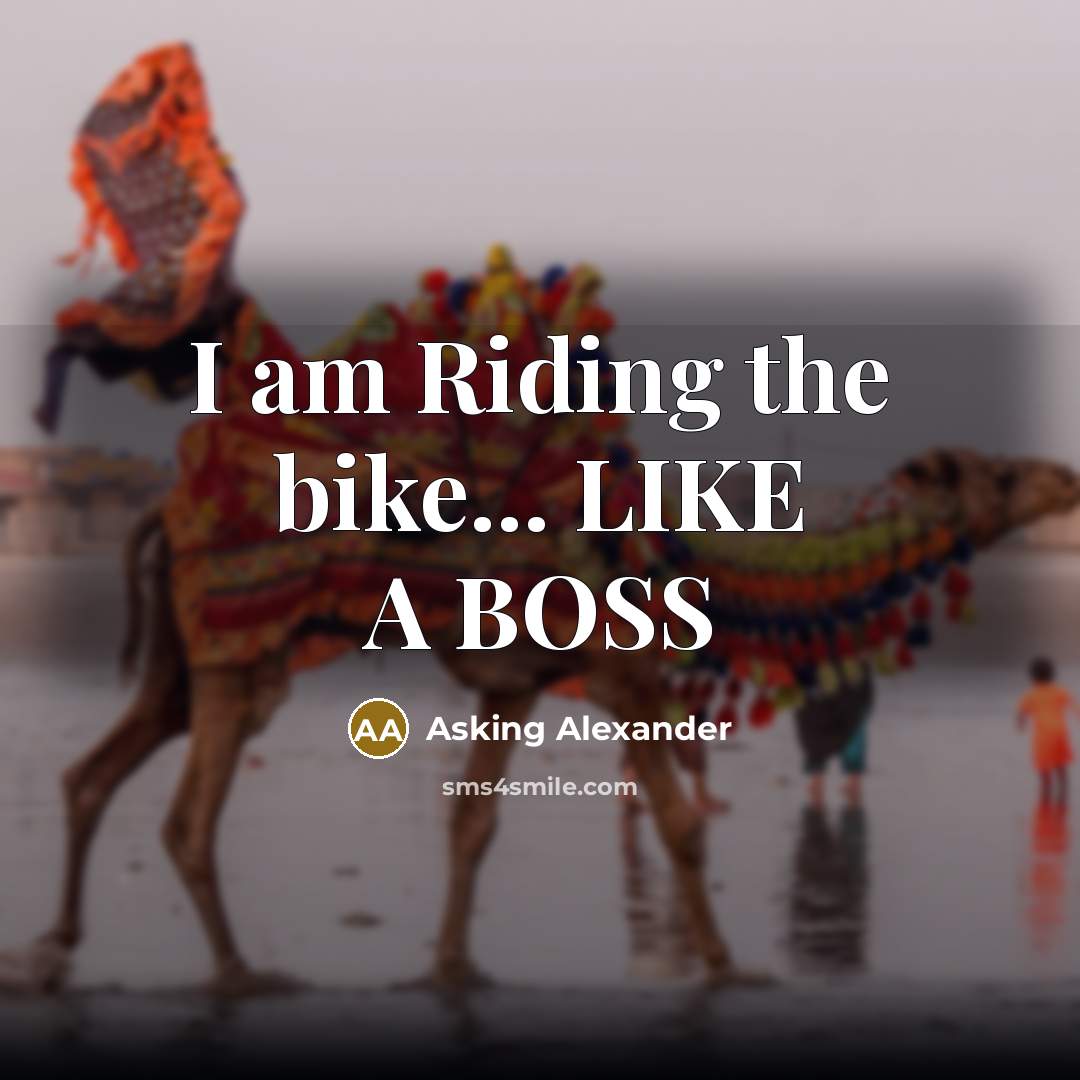 “I am Riding the bike... LIKE A BOSS…” quote by Asking Alexander