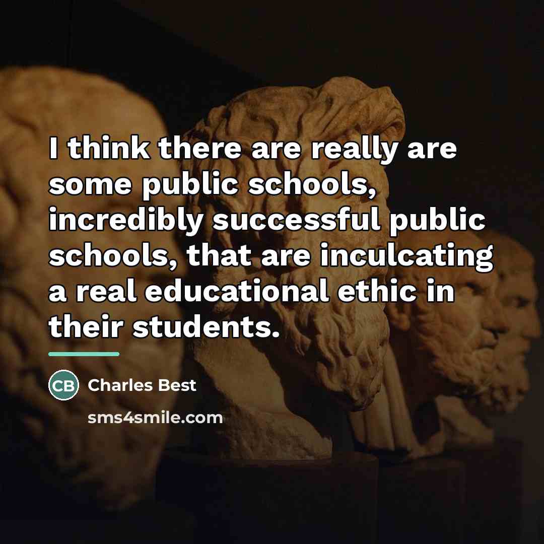 “I think there are really are some public schools, incredibly…” quote by Charles Best