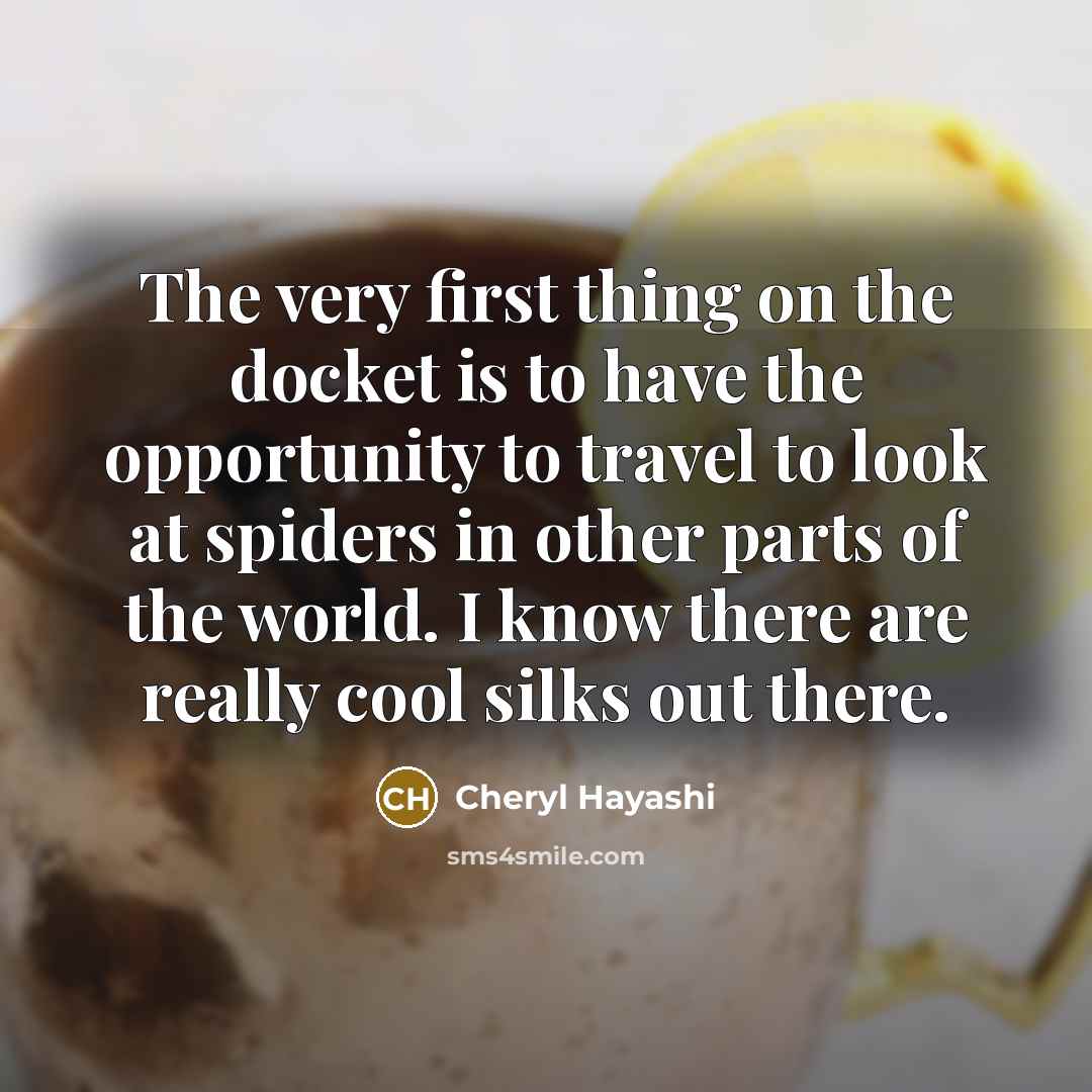 “The very first thing on the docket is to have…” quote by Cheryl Hayashi